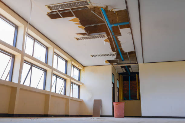 Best Residential water damage restoration  in Cameron, TX