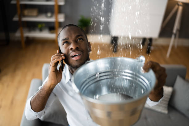 Best Flood damage cleanup  in Cameron, TX