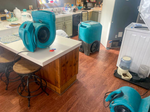 Best Mold removal after water damage  in Cameron, TX