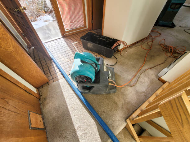 Best Flood restoration services  in Cameron, TX