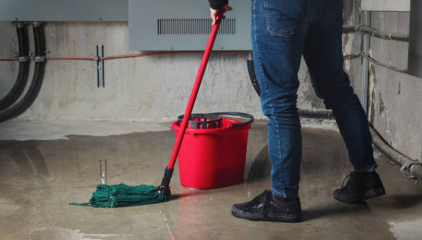 Best Fire Damage Restoration  in Cameron, TX