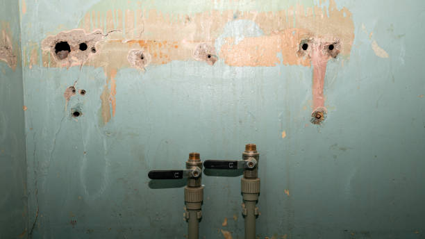 Best Emergency water damage restoration  in Cameron, TX