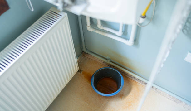 Best Water damage cleanup near me  in Cameron, TX
