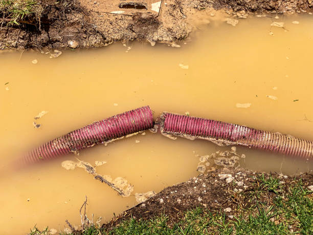Best Commercial water damage restoration  in Cameron, TX