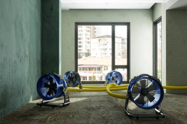 Best Water damage restoration near me  in Cameron, TX